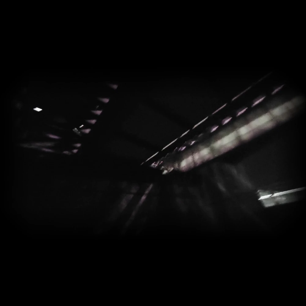 Doomer(Waterplant Compilation Edit)